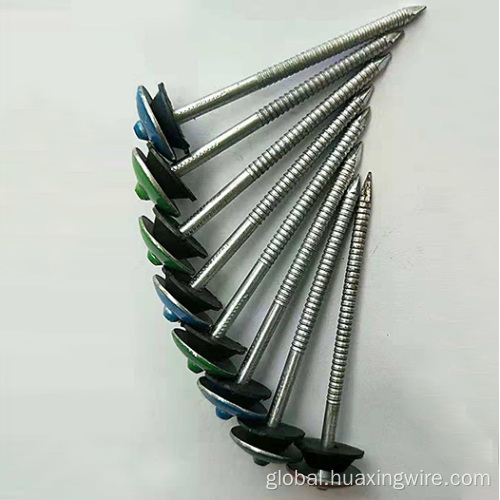 Umbrella Nail Wire Galvanized roofing nails with umbrellar head Manufactory